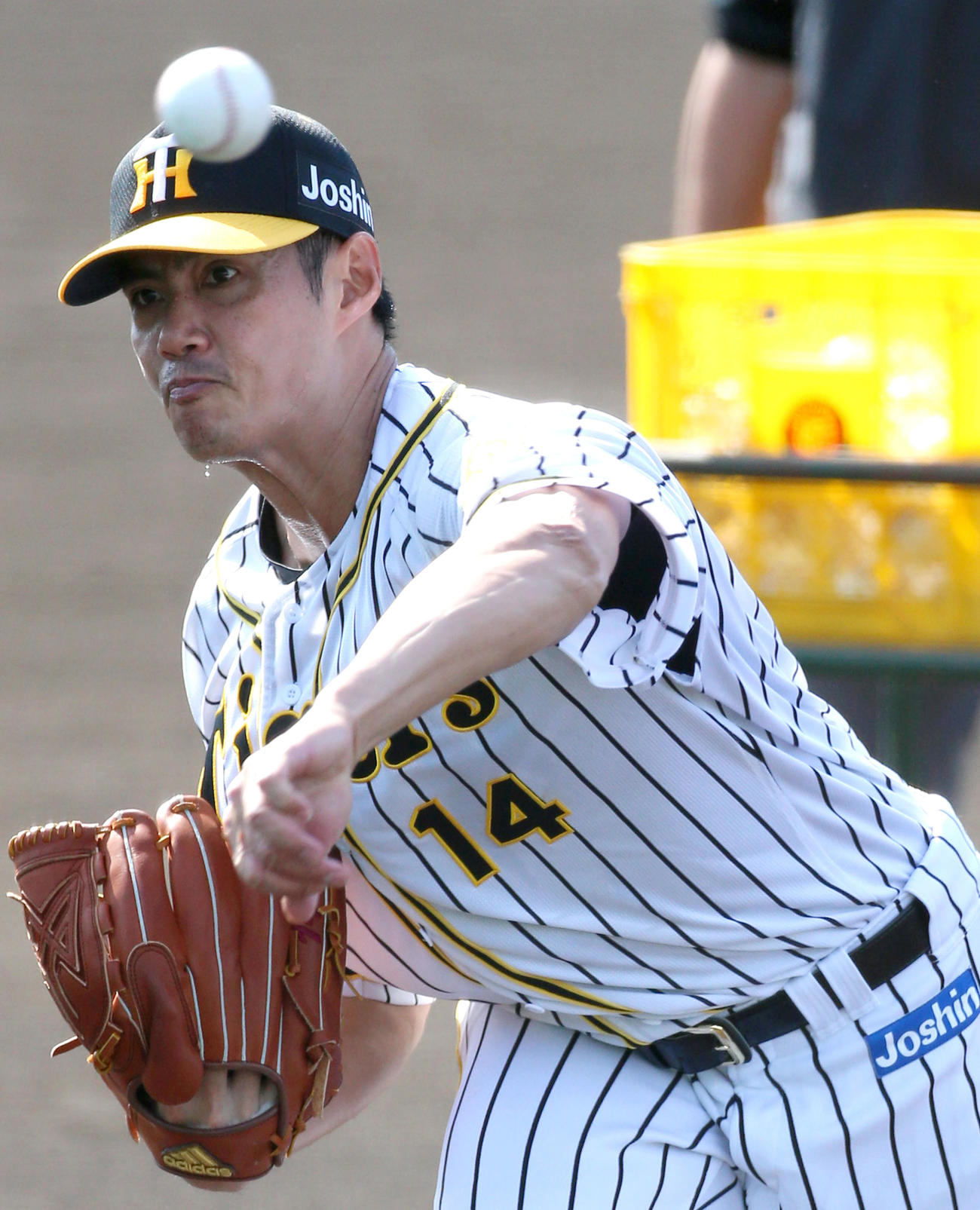 フリー打撃に登板するチェン（撮影・上山淳一）