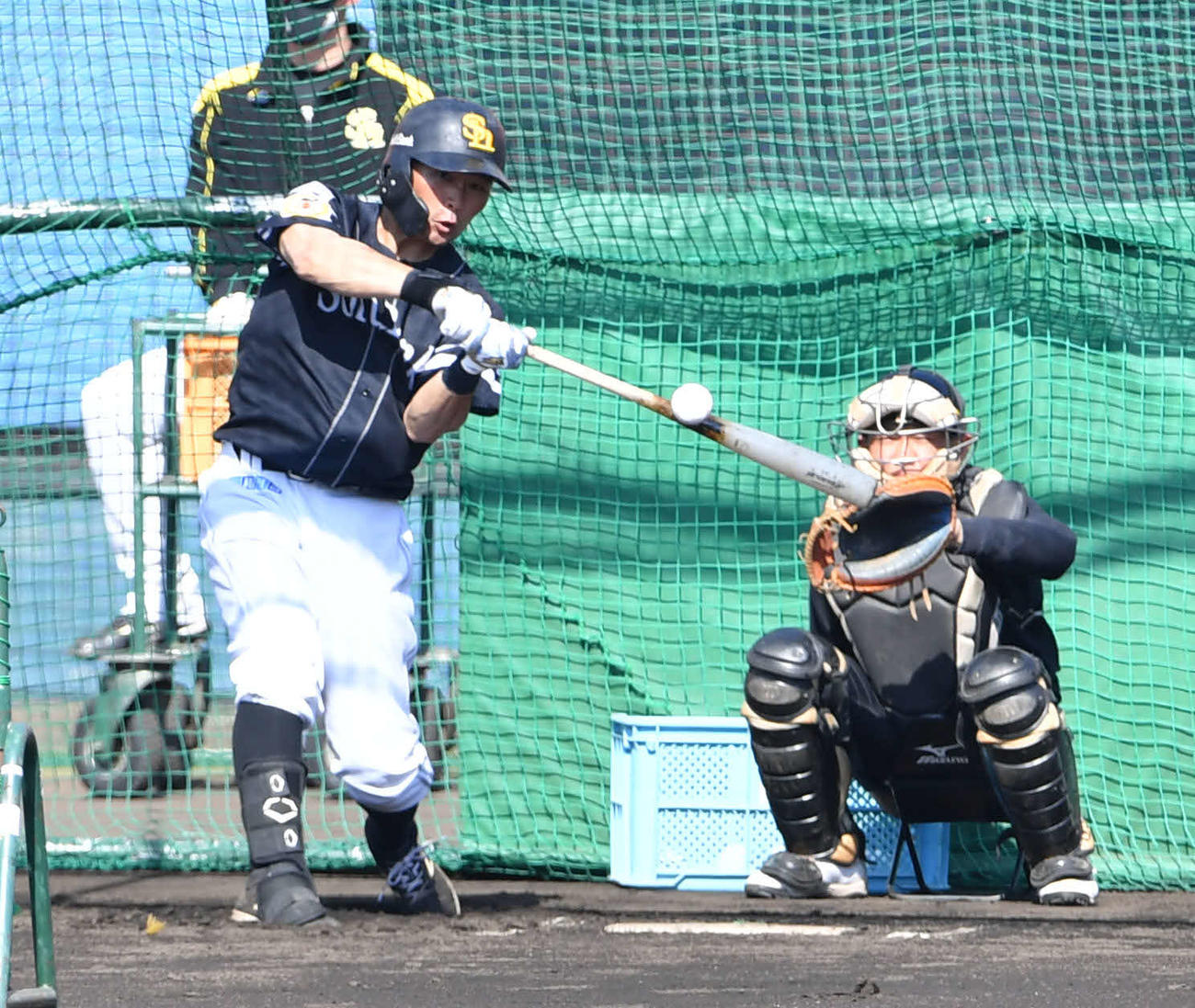 特打を行う中村晃（撮影・岩下翔太）