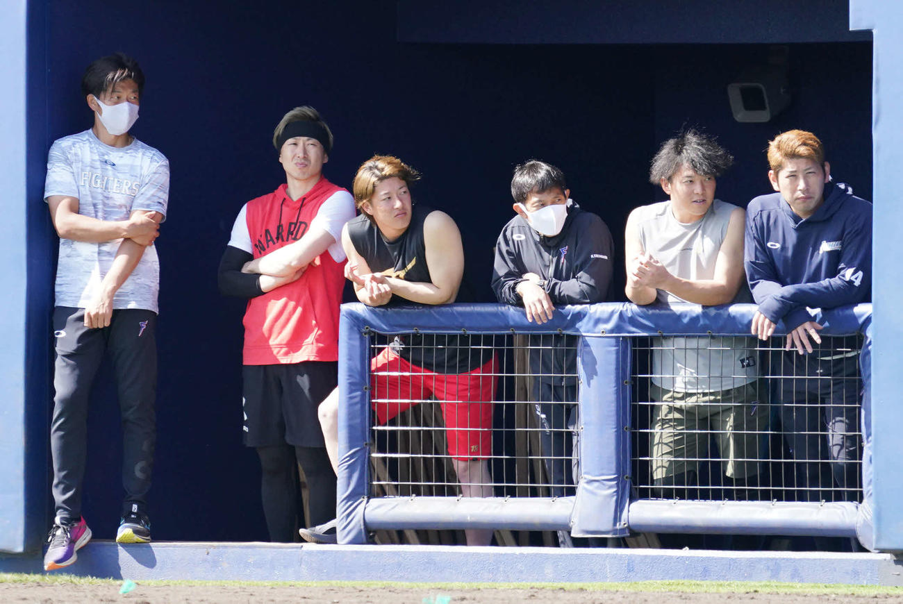 中日との練習試合を見つめる吉田（左から3人目）ら日本ハム投手陣（撮影・森本幸一）