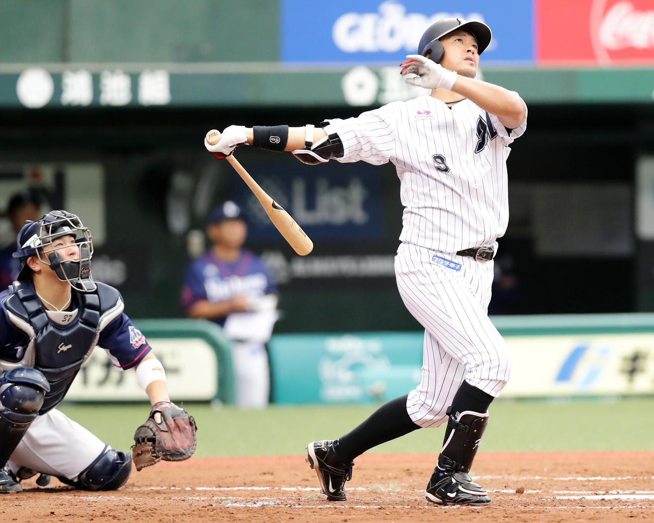 現役最後となる通算118本目の本塁打を放ったロッテ福浦（2018年9月9日撮影）