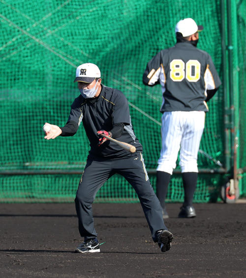阪神川相臨時コーチ守備改革 かっこいい大賞 締め プロ野球写真ニュース 日刊スポーツ