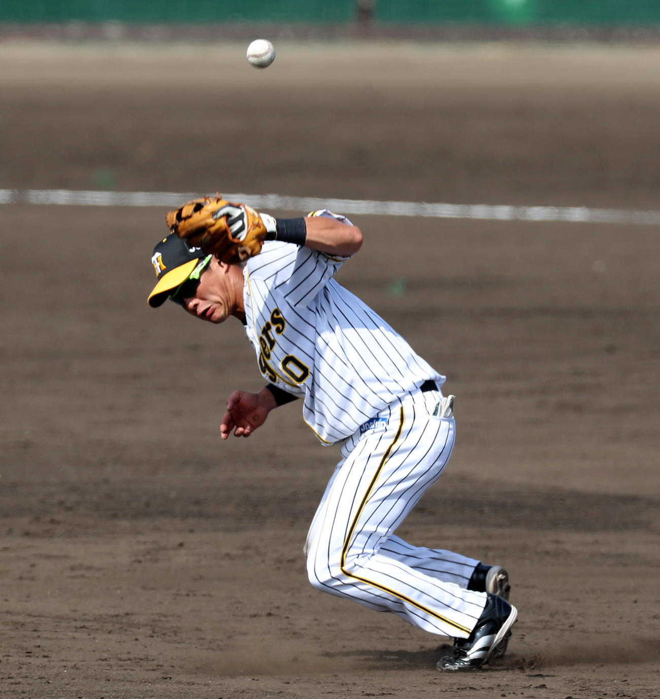 阪神対DeNA 5回表DeNA1死、木浪は神里の打球をエラーする（撮影・加藤哉）
