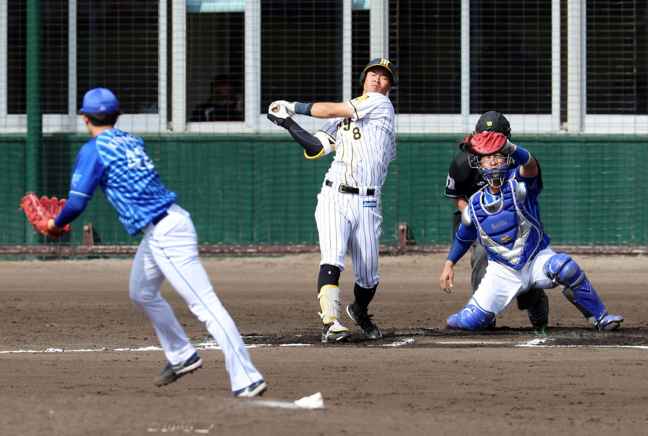 阪神対DeNA 6回裏阪神無死、佐藤輝は空振り三振する、左は京山（撮影・加藤哉）