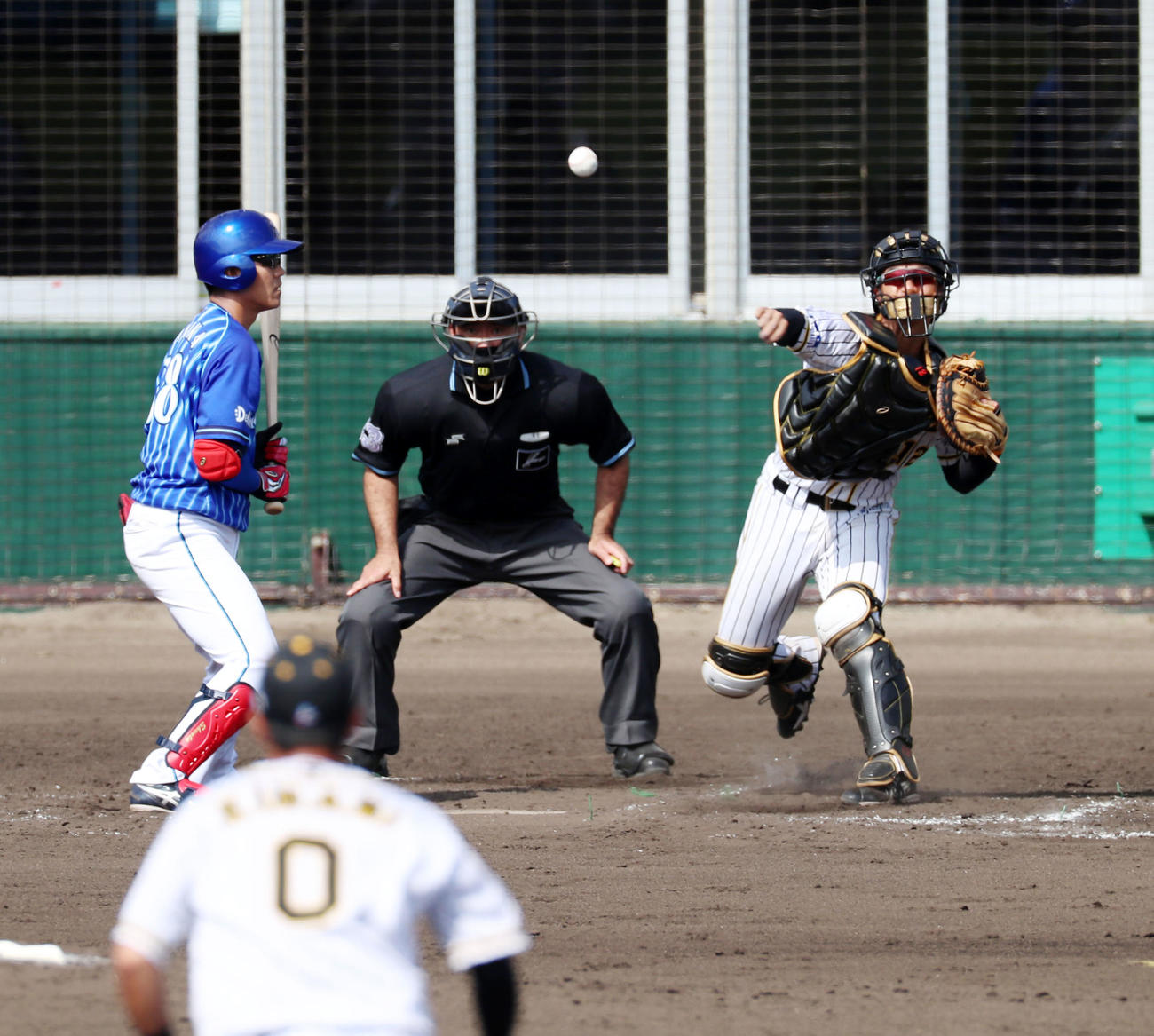 阪神対DeNA 5回表DeNA1死一塁、坂本は打者田中俊のとき一走神里を刺す（撮影・加藤哉）