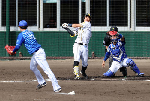 阪神対DeNA 6回裏阪神無死、佐藤輝は空振り三振する、左は京山（撮影・加藤哉）