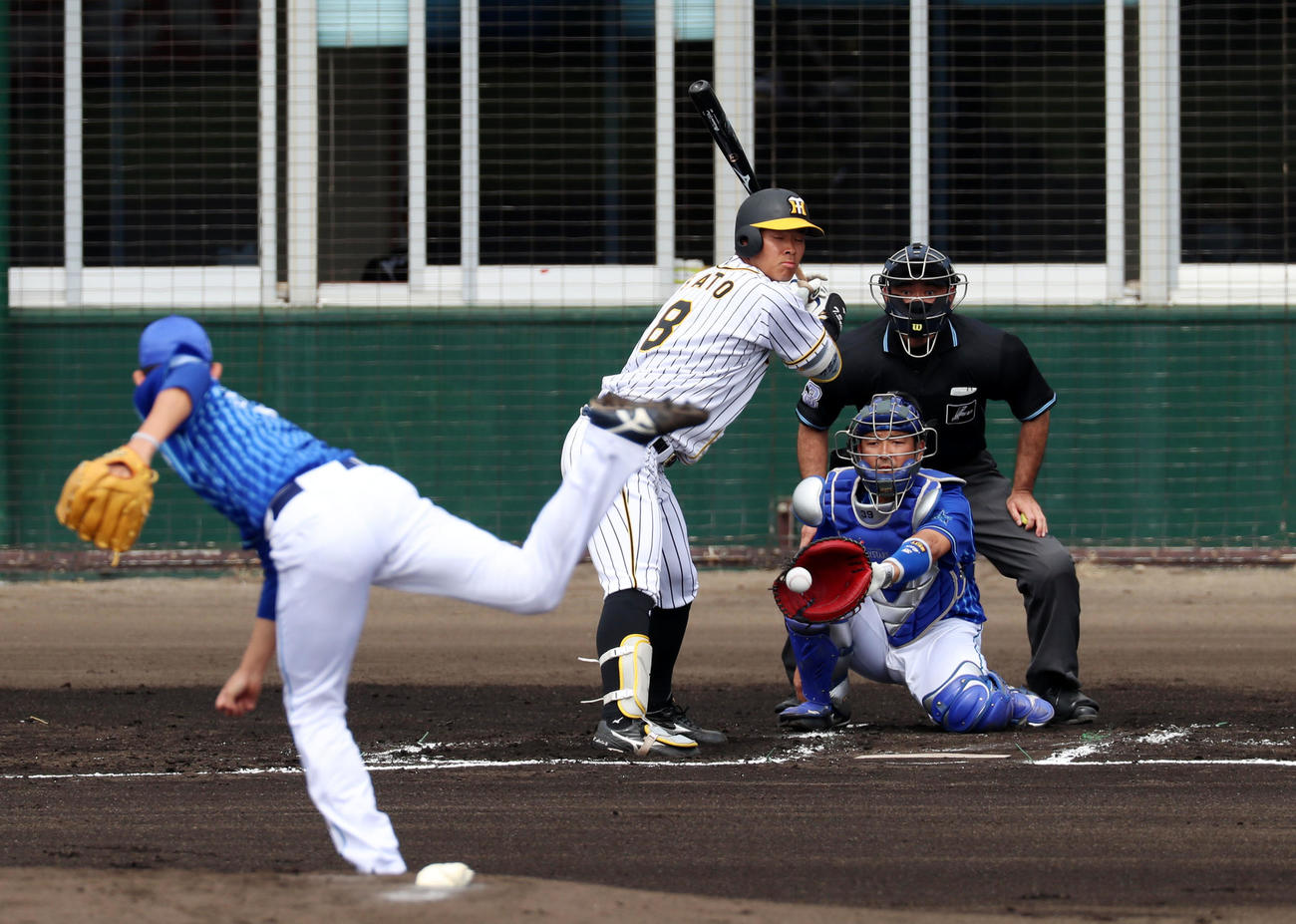 阪神対DeNA 1回裏阪神2死、四球を選んで出塁する佐藤輝（撮影・加藤哉）