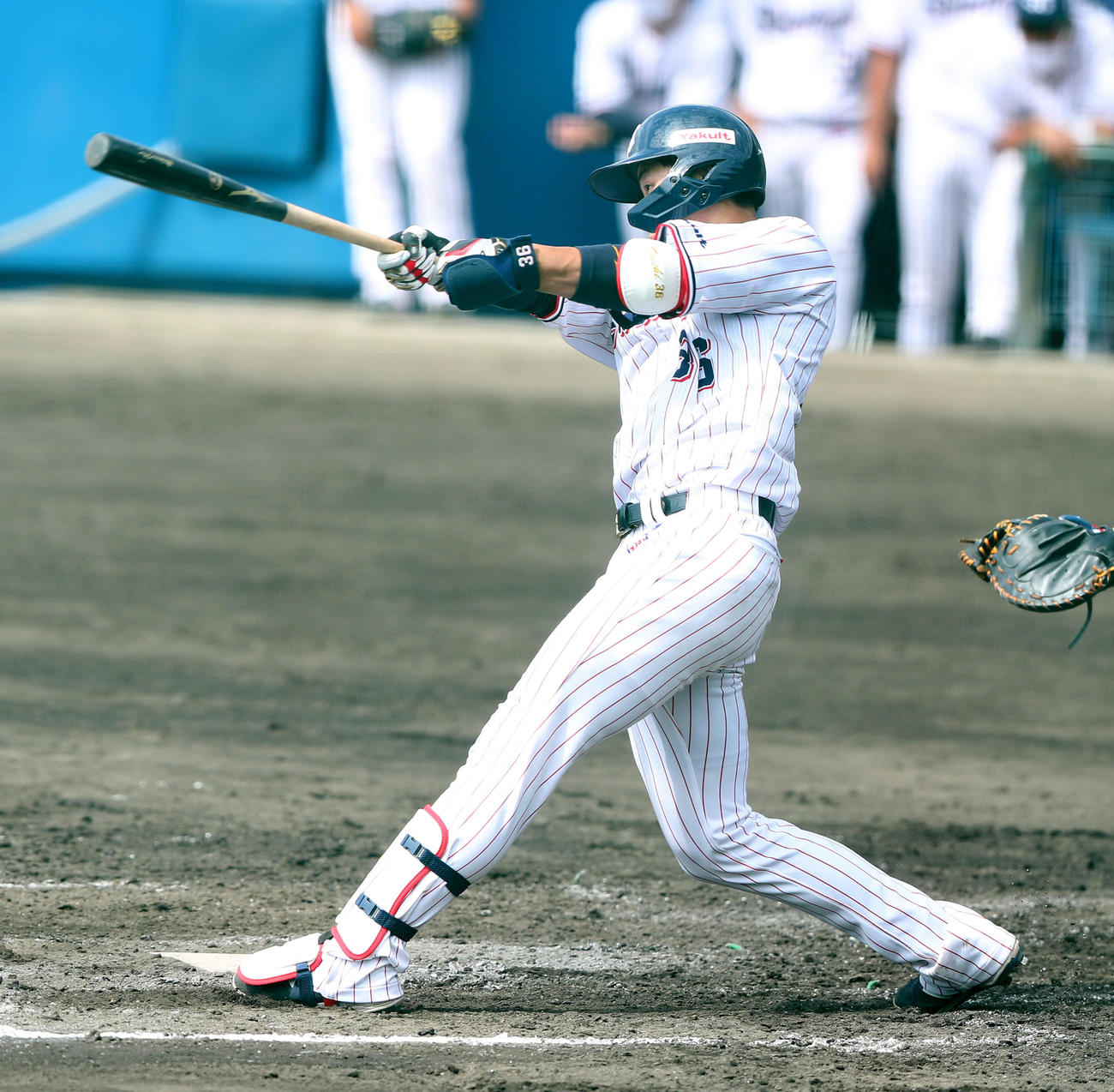 ヤクルト対巨人　2回裏ヤクルト無死、左越えソロ本塁打を放つ広岡（撮影・河田真司）
