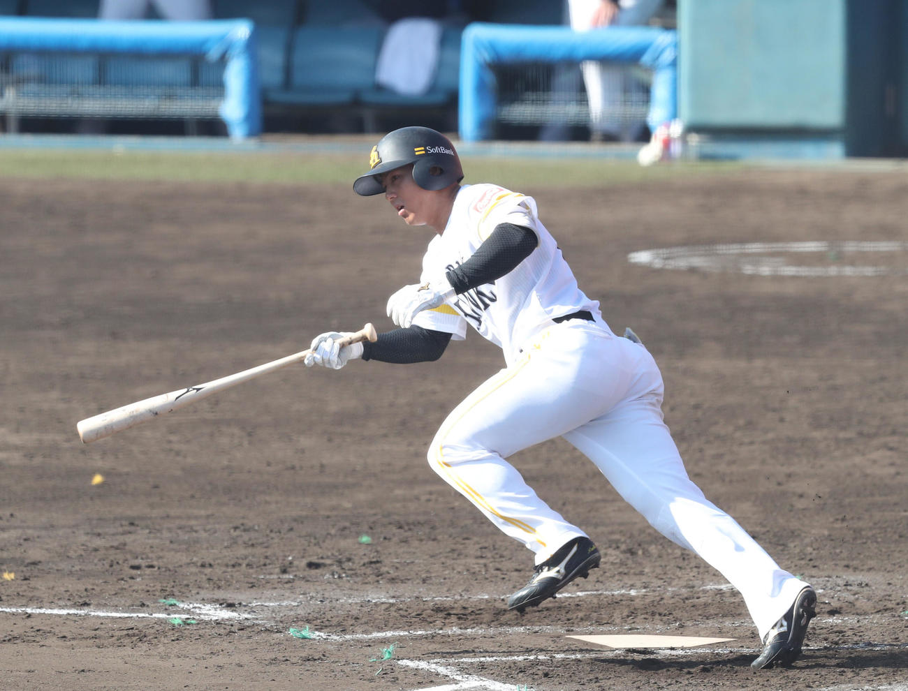 練習試合　西武対ソフトバンク　7回裏ソフトバンク無死一塁、佐藤直は左前安打を放つ（撮影・梅根麻紀）