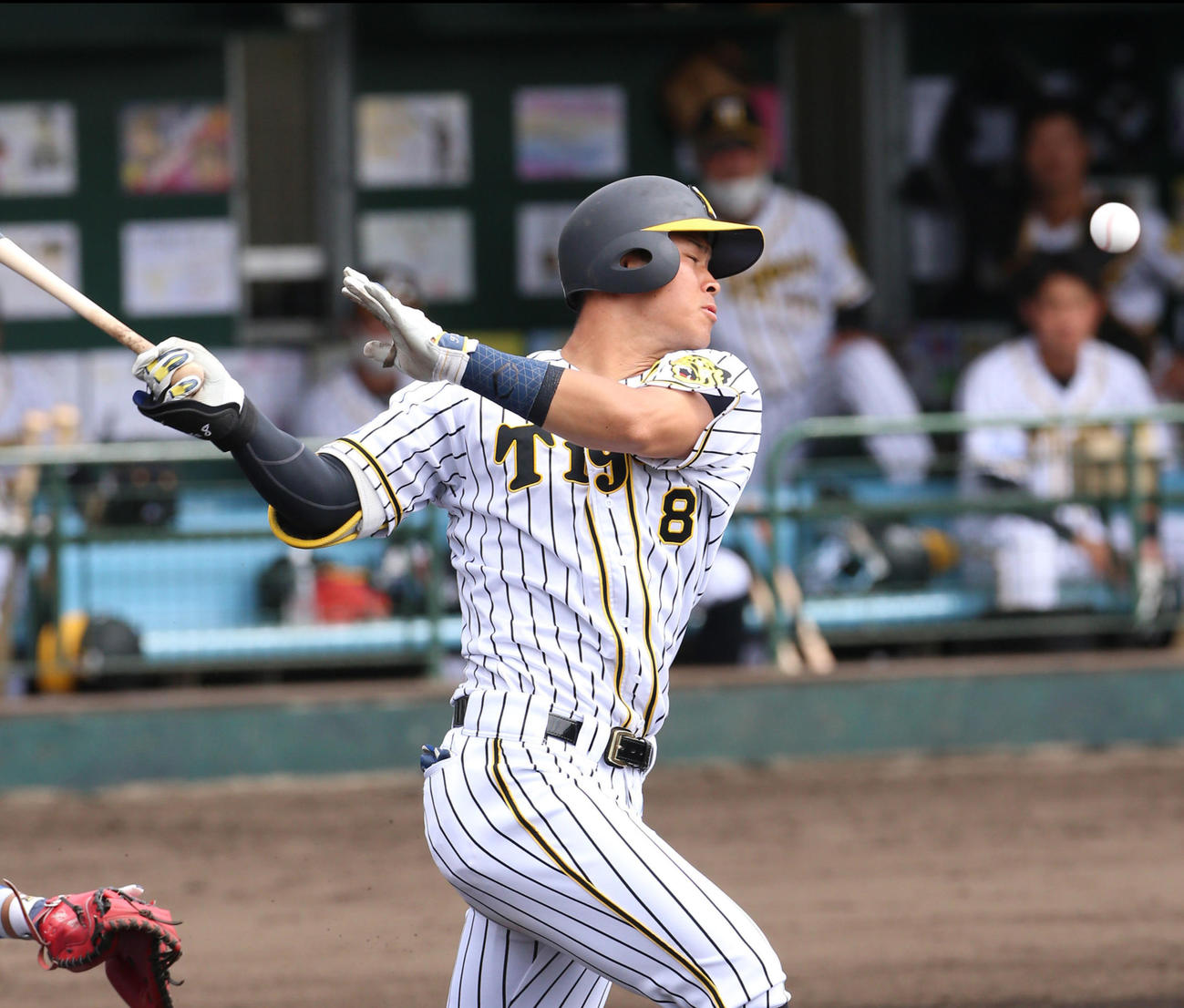 阪神対DeNA・練習試合　1回裏阪神2死、ファウルで粘る佐藤輝明（撮影・上山淳一）