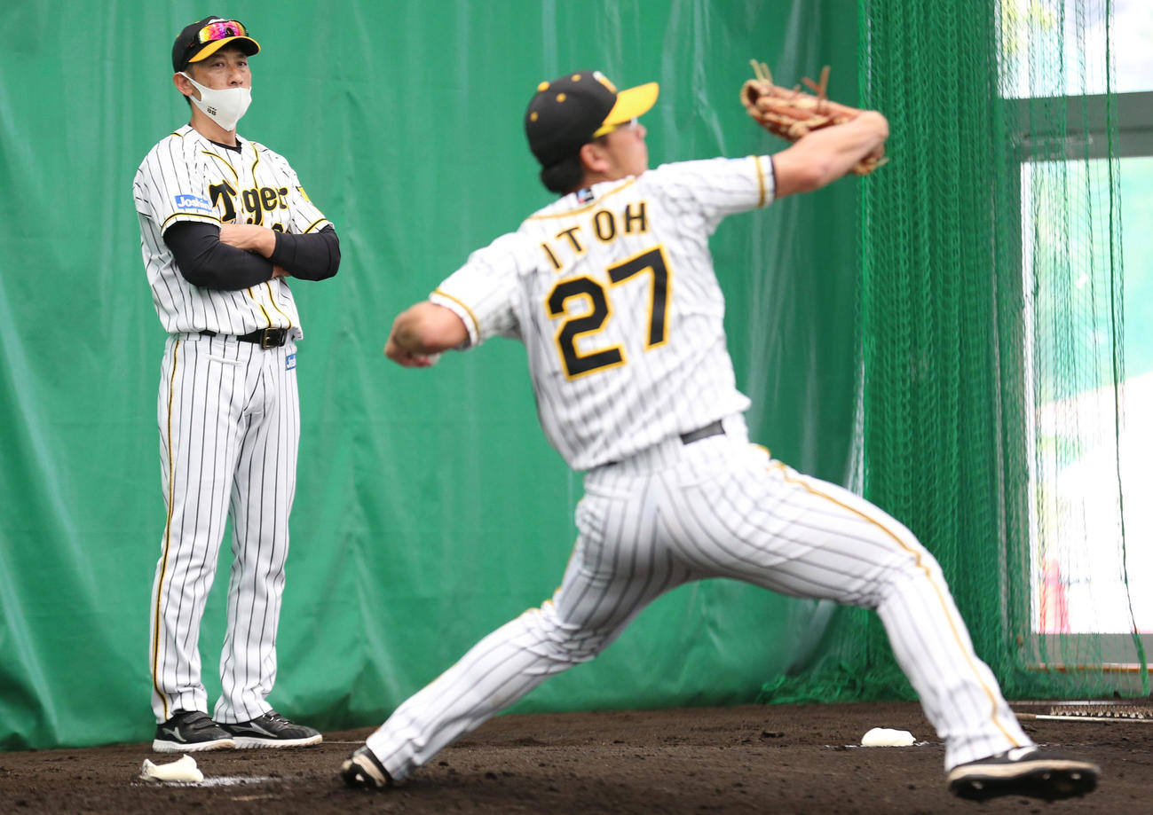23日、ブルペン投球する伊藤将を見つめる矢野監督