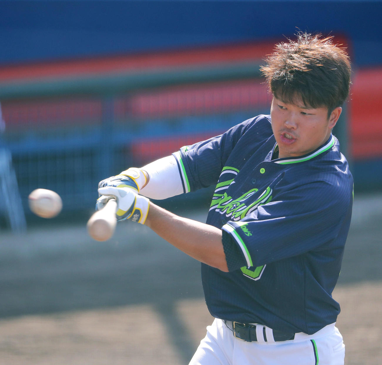 ティー打撃するヤクルト村上（撮影・河田真司）