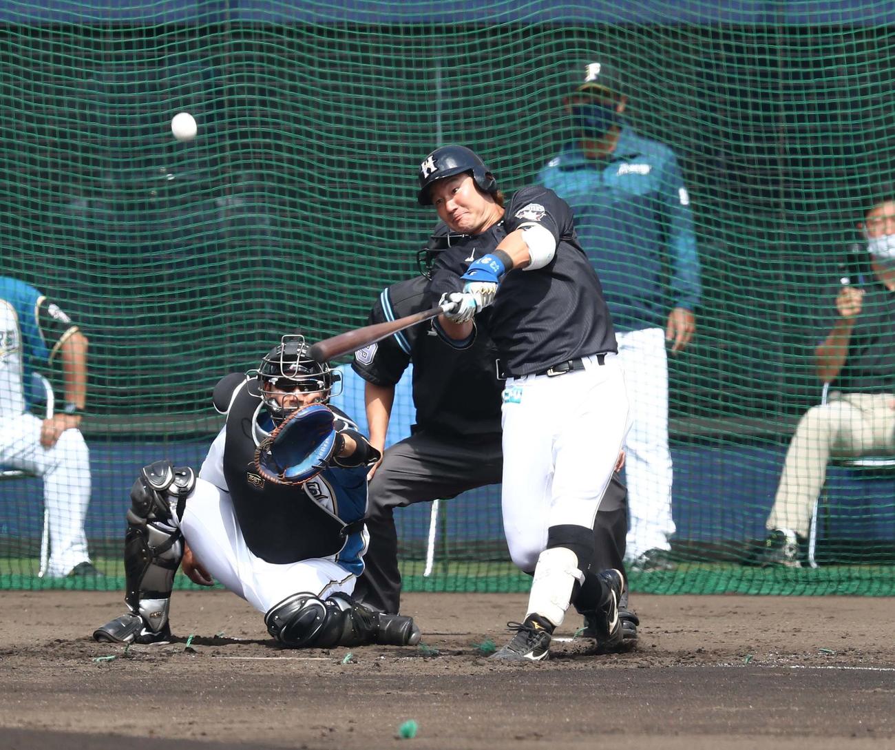 日本ハム紅白戦　3回表2死一、二塁、右中間に3点本塁打を放つ渡辺（撮影・黒川智章）
