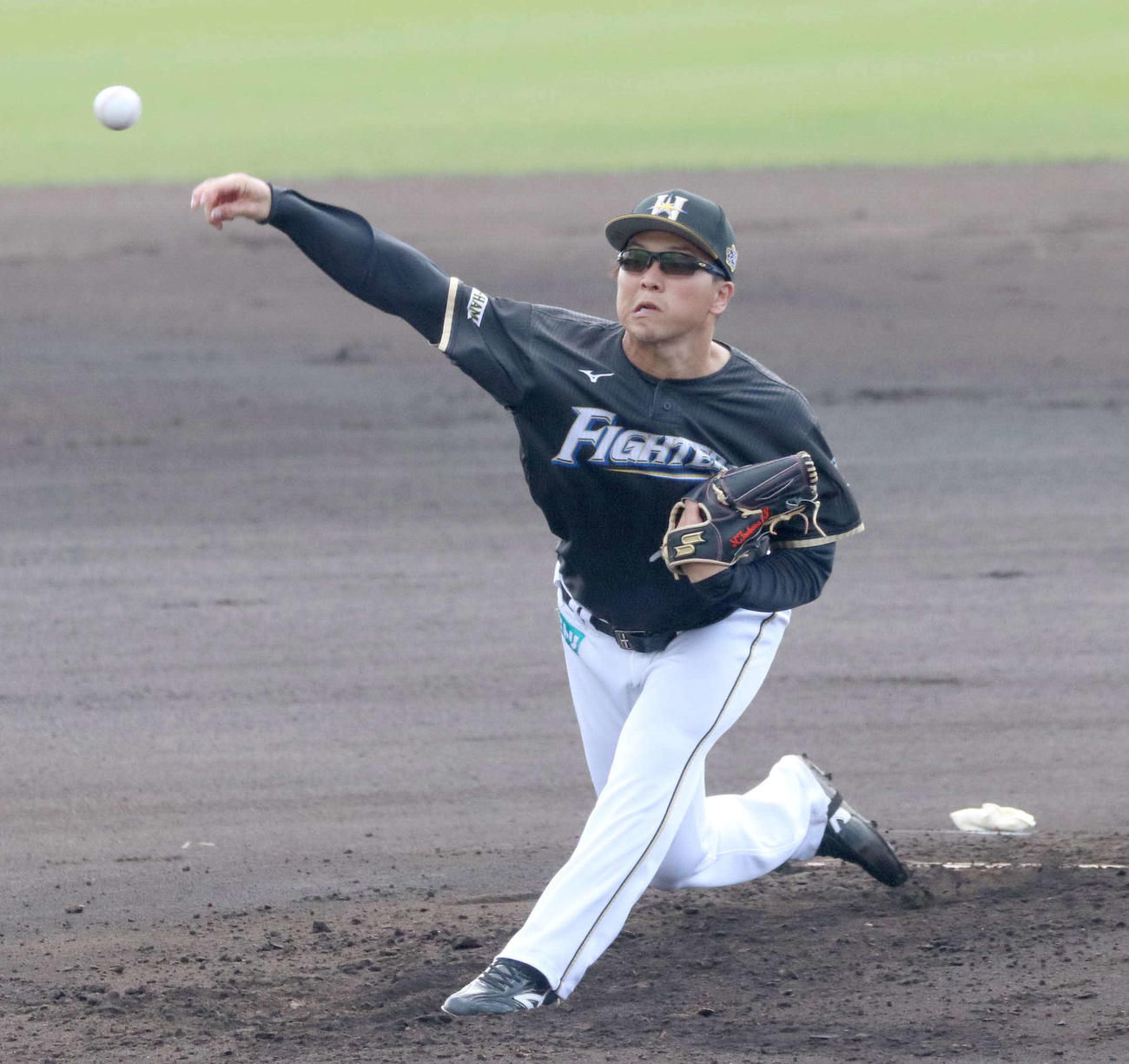 日本ハム紅白戦　3回を投げ1安打に抑える生田目（撮影・山崎純一）