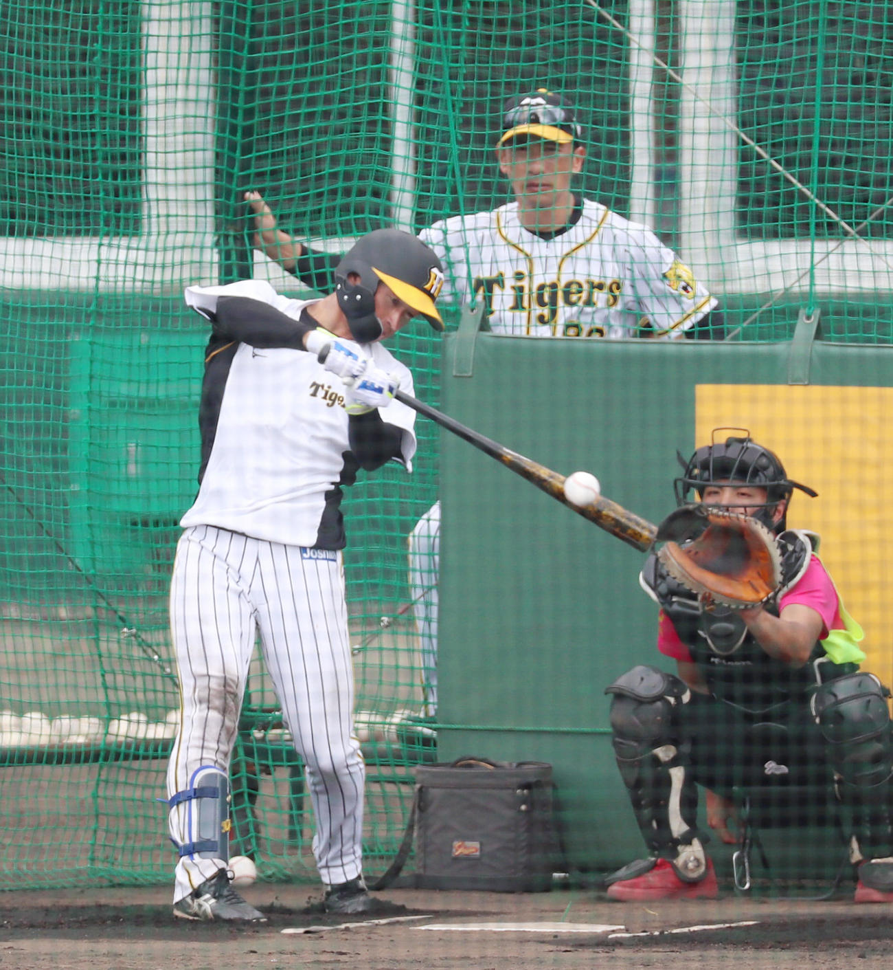 矢野監督が後方から見守る中、打撃練習を行う近本（撮影・加藤哉）
