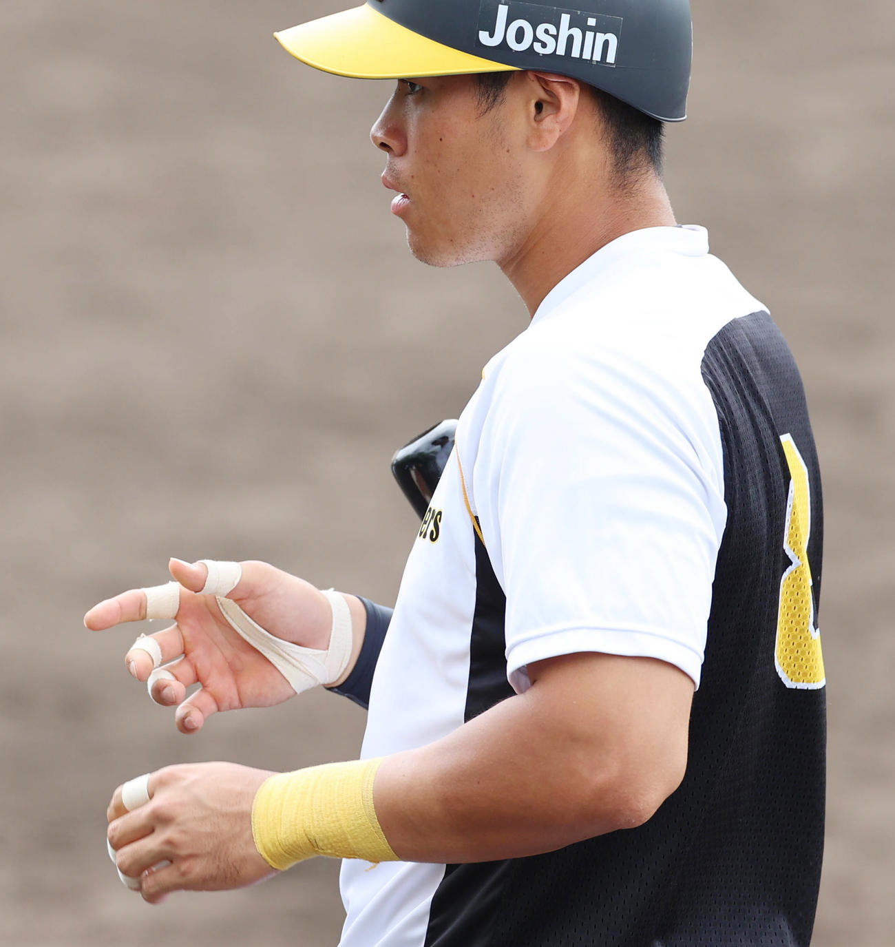 打撃練習でテーピングを巻く佐藤輝明（撮影・清水貴仁）