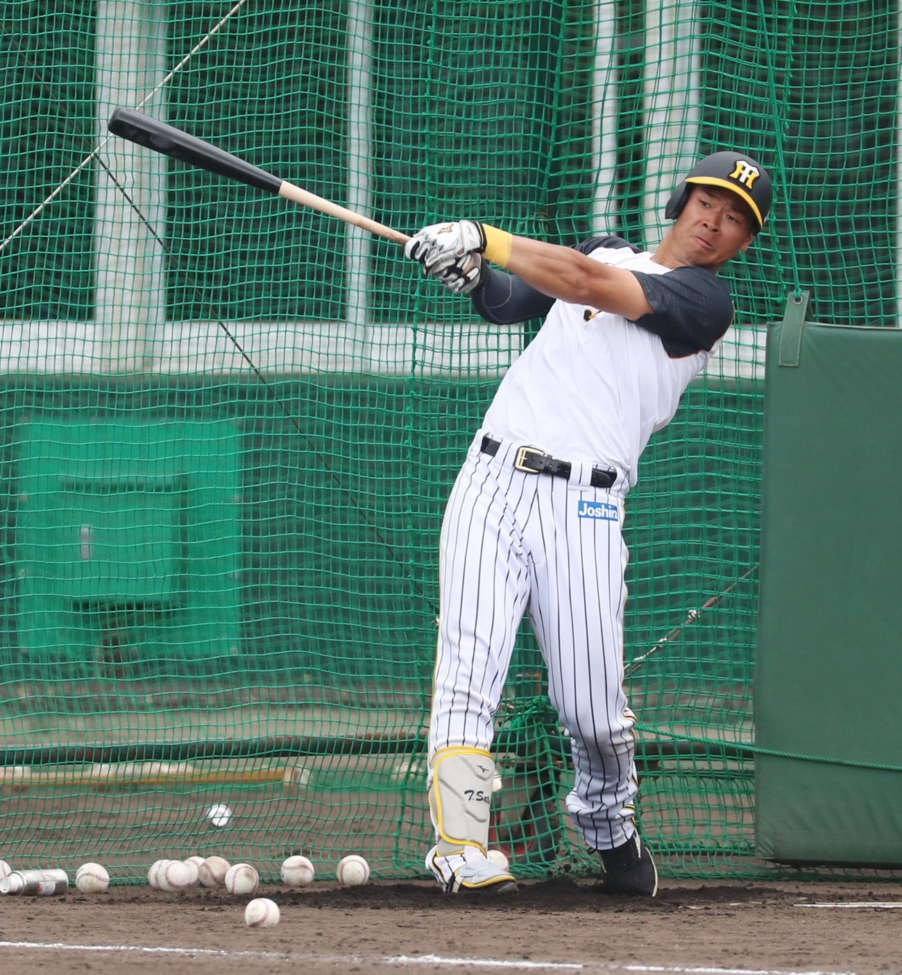 特打を行う佐藤輝明（撮影・加藤哉）