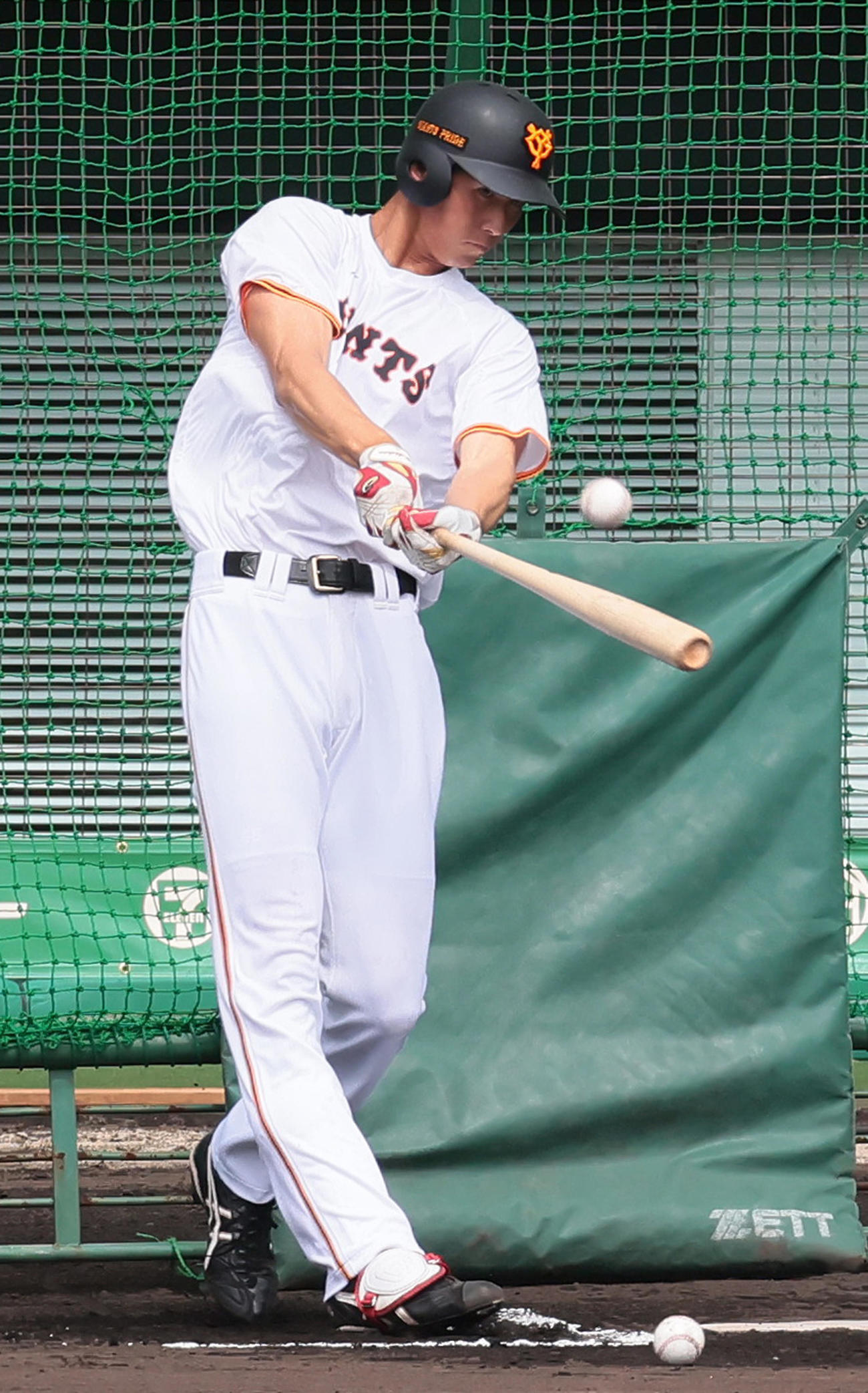 フリー打撃を行う巨人秋広（撮影・足立雅史）