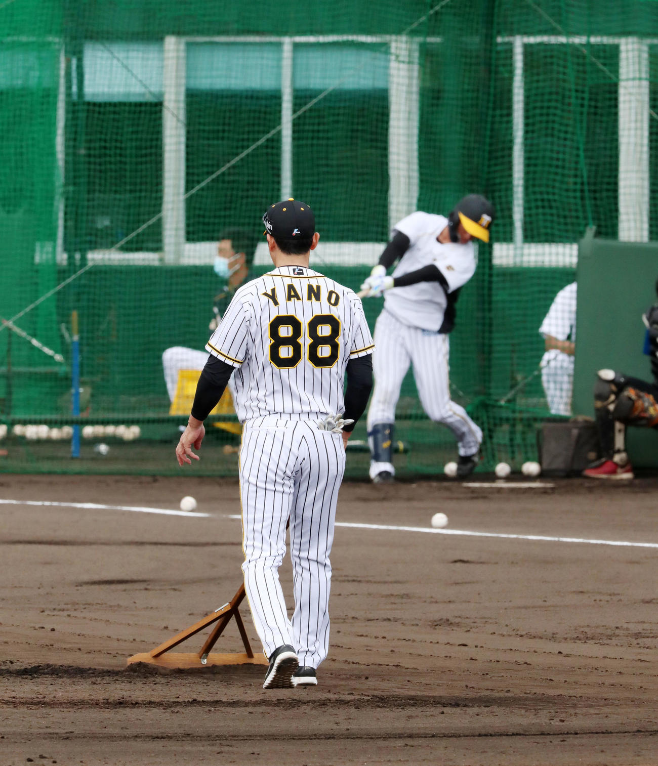 矢野監督がトンボで自ら土をならす中、打撃練習を行う近本（撮影・加藤哉）
