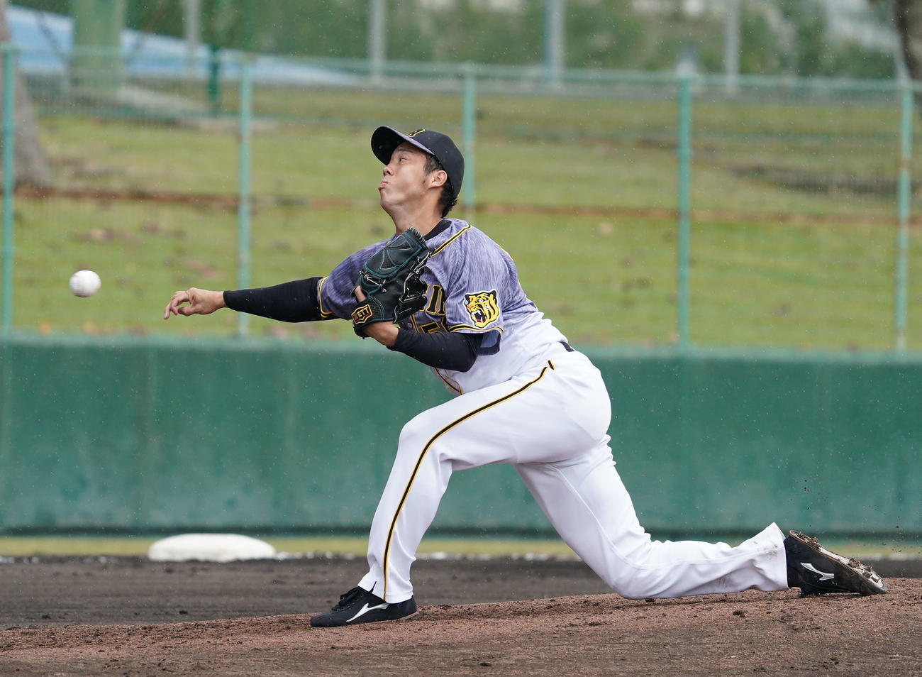 登板する阪神先発の青柳晃洋（撮影・森本幸一）