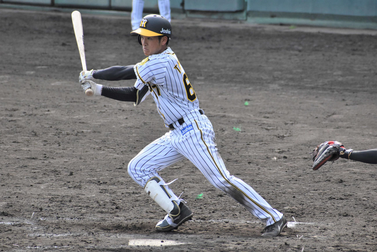 阪神2軍対四国IL香川　7回2死一、二塁で三塁強襲の内野安打を放つ阪神ドラフト7位の高寺（撮影・只松憲）