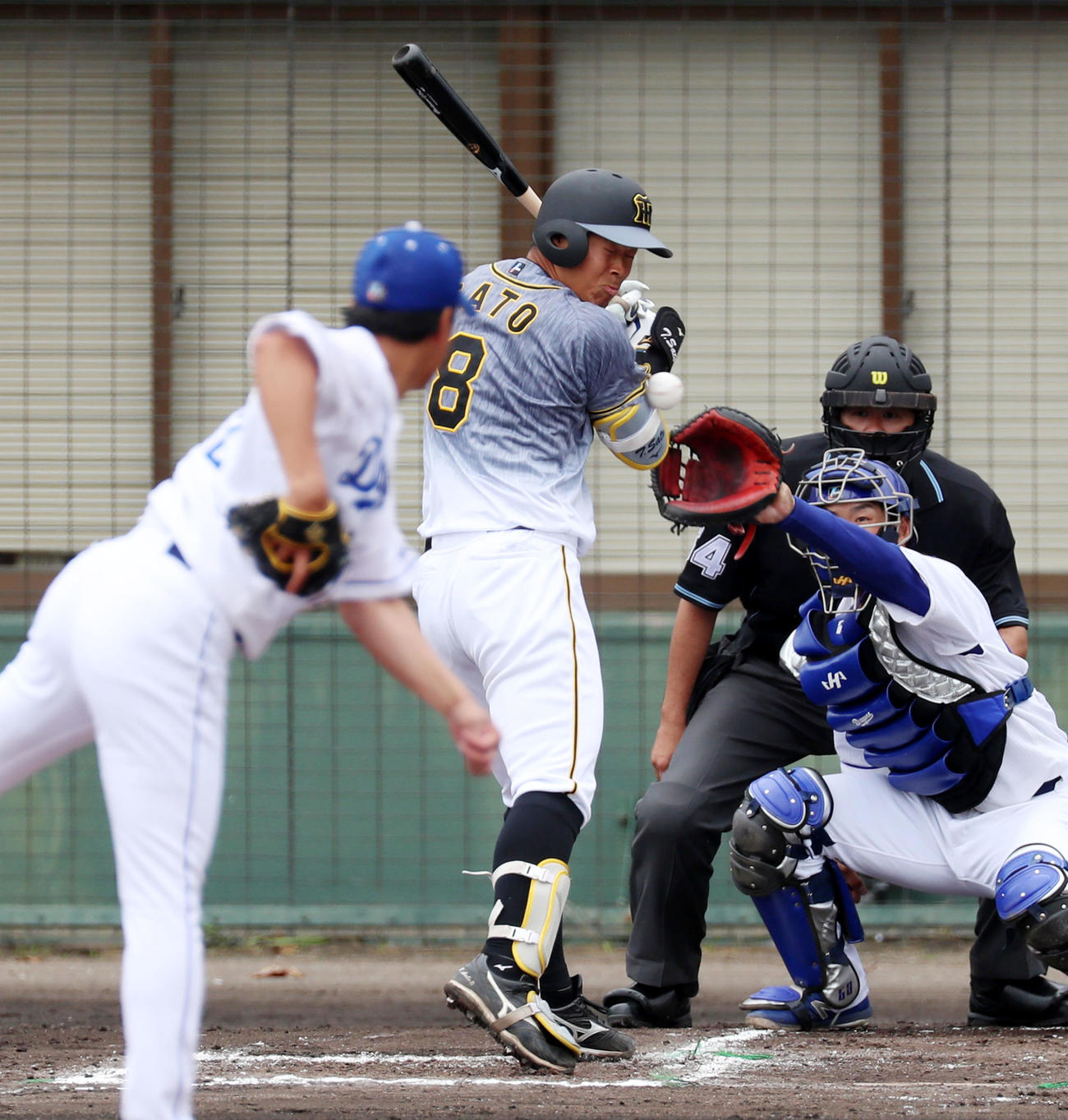 中日対阪神　1回表阪神無死一、三塁、佐藤輝は死球を受け出塁する、左は大野雄（撮影・加藤哉）