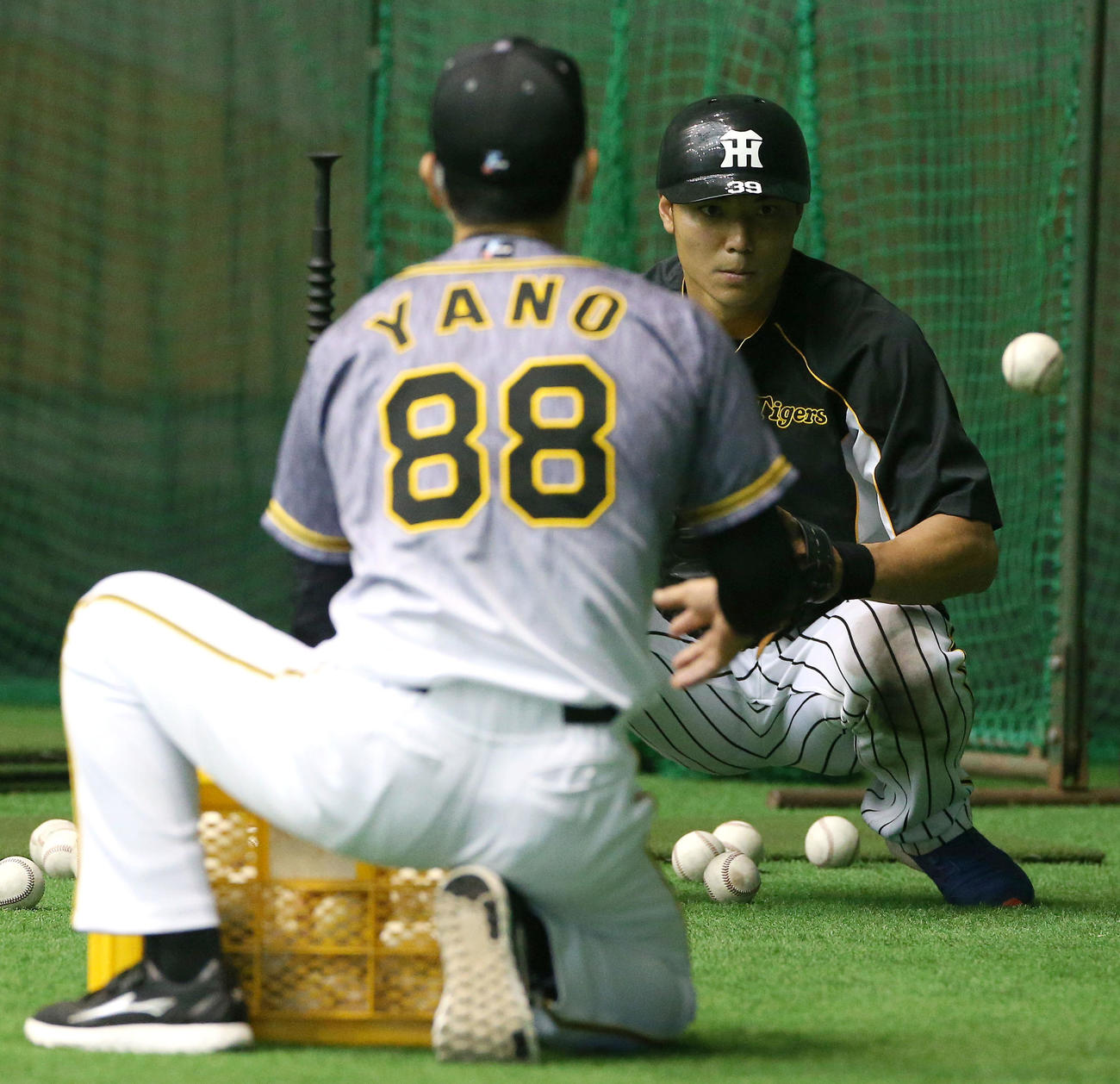 宜野座ドームで栄枝裕貴（右）は矢野燿大監督の指導を受ける（撮影・上山淳一）