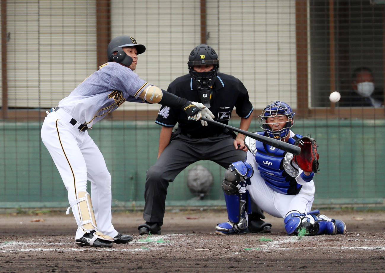 中日対阪神　3回表阪神1死一塁、高山は左前打を放つ（撮影・加藤哉）