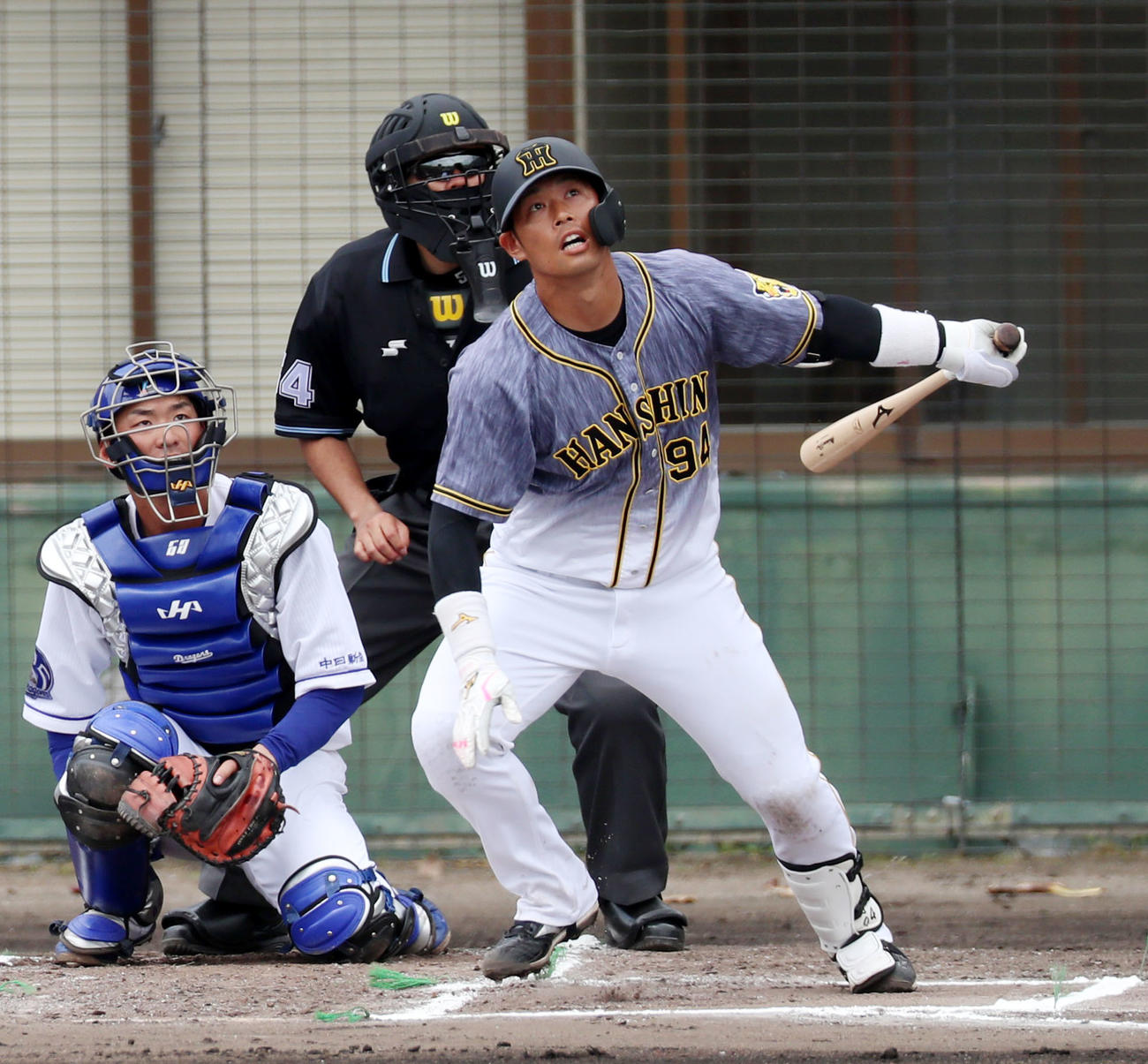 中日対阪神　6回表阪神2死、代打原口は左越え本塁打を放つ（撮影・加藤哉）