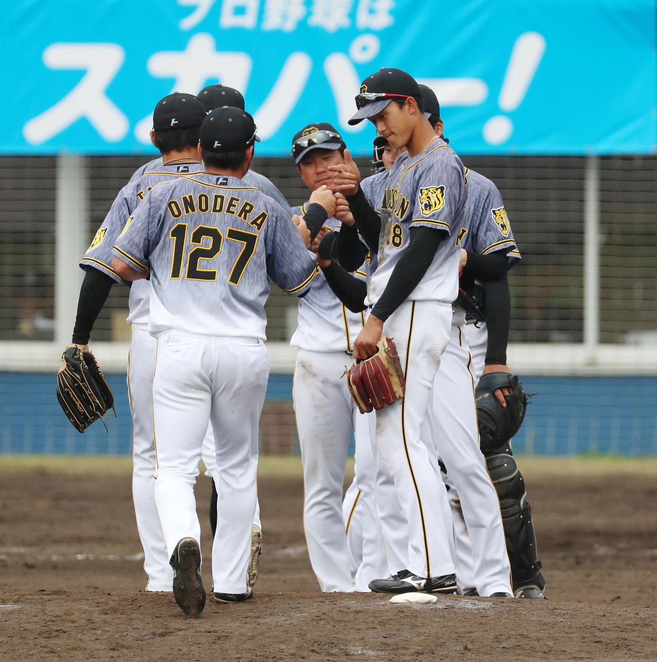 ヤクルト対阪神　ヤクルトに勝利しマウンドでタッチする小野ら阪神ナイン（撮影・加藤哉）
