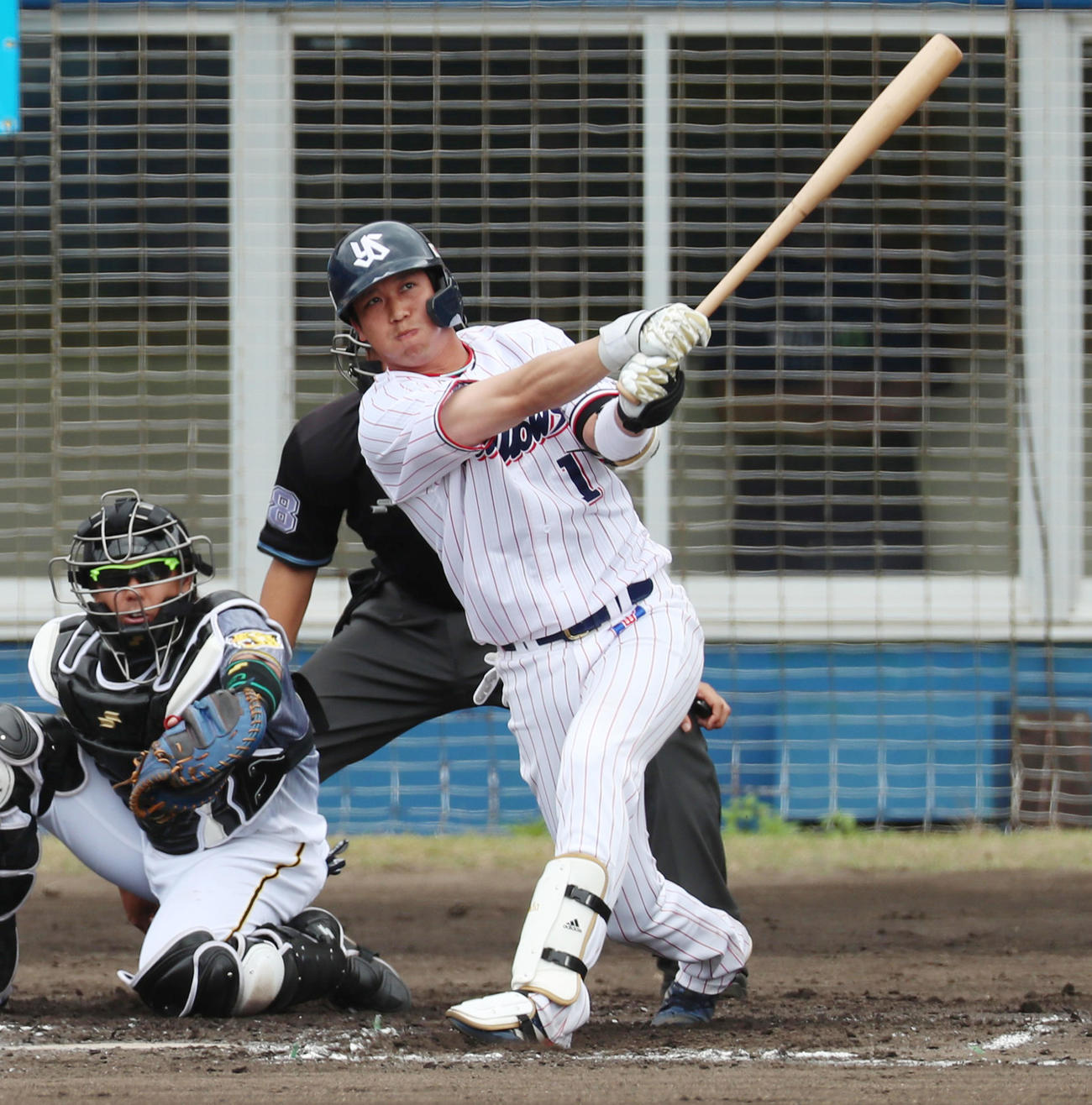 ヤクルト対阪神　1回裏ヤクルト2死、山田は左越え本塁打を放つ（撮影・加藤哉）