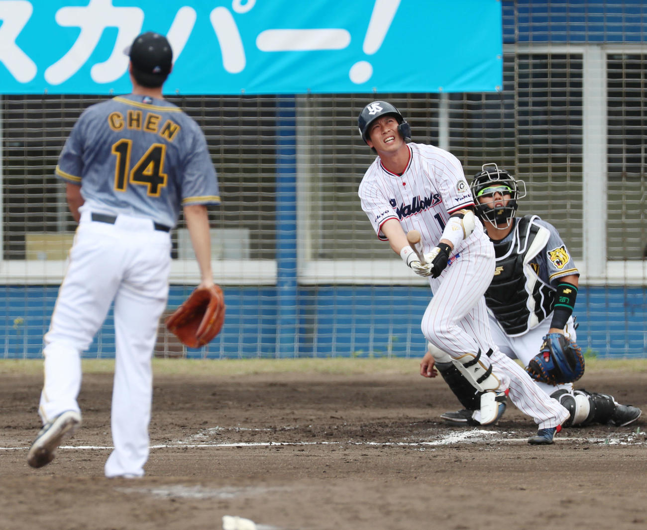 ヤクルト対阪神　1回裏ヤクルト2死、山田は左越え本塁打を放つ、左はチェン（撮影・加藤哉）