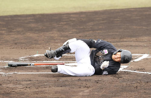西武対ロッテ　6回表ロッテ無死一、二塁、死球を受け倒れ込む菅野（撮影・垰建太）