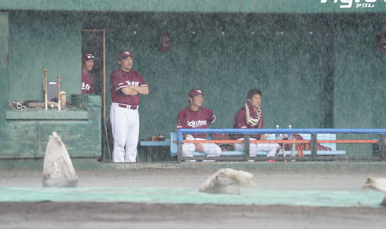 練習試合・中日対楽天　5回表楽天攻撃中、雨が強く降り出し試合が中断。ベンチでグラウンドを見つめる石井一久監督（撮影・森本幸一）