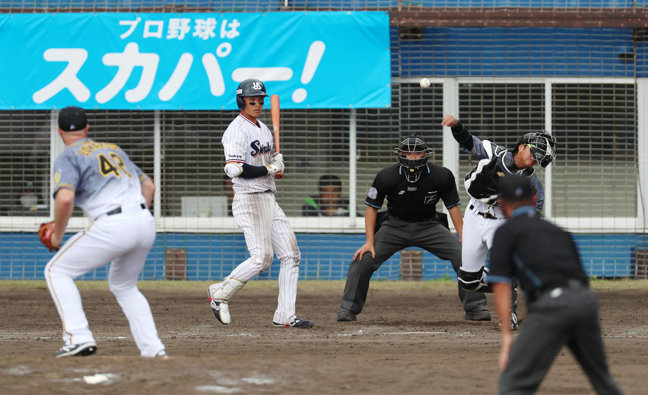 ヤクルト対阪神　5回裏ヤクルト2死一塁、梅野は打者宮本のとき一走の代走並木を刺す（撮影・加藤哉）