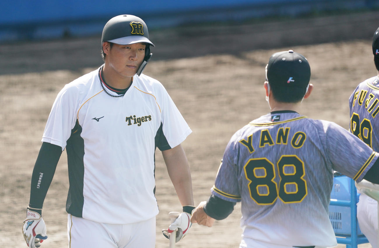 ヤクルト対阪神　打撃練習で矢野監督（右）と話す大山（撮影・清水貴仁）