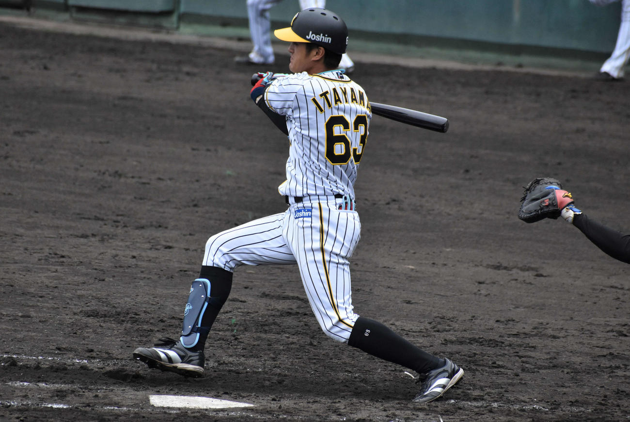 阪神2軍対四国IL高知　3回1死二、三塁、板山は右前先制2点適時打を放つ（撮影・只松憲）