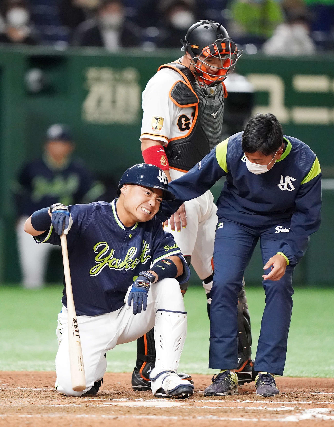 巨人対ヤクルト　7回表ヤクルト2死、死球を受け厳しい表情の中村（左）（撮影・江口和貴）