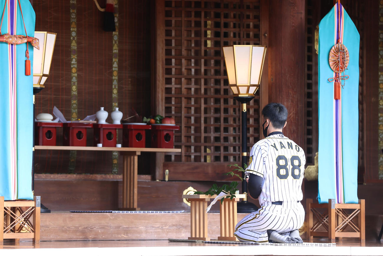 神社参拝し玉串を奉納する矢野監督（代表撮影）