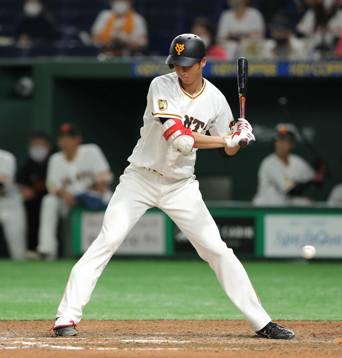 巨人対ヤクルト　8回裏巨人1死、三振に倒れる秋広（撮影・河田真司）