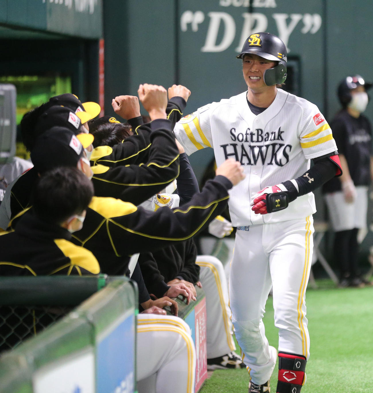 ソフトバンク対中日　3回裏ソフトバンク2死、今宮健太は中越えに本塁打を放ちベンチのナインとハイタッチ（撮影・梅根麻紀）