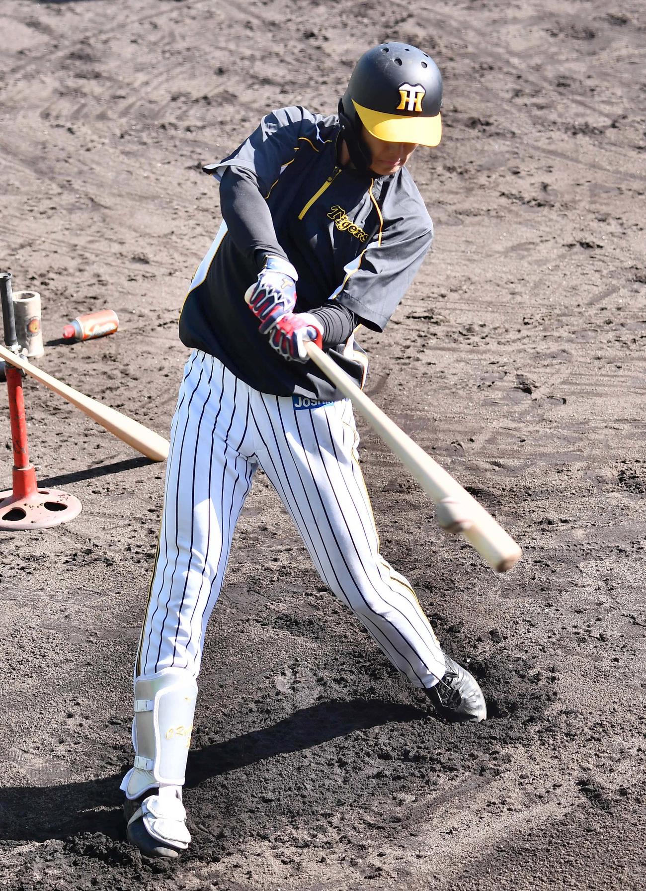 トスバッティングをして汗を流す小幡（代表撮影）