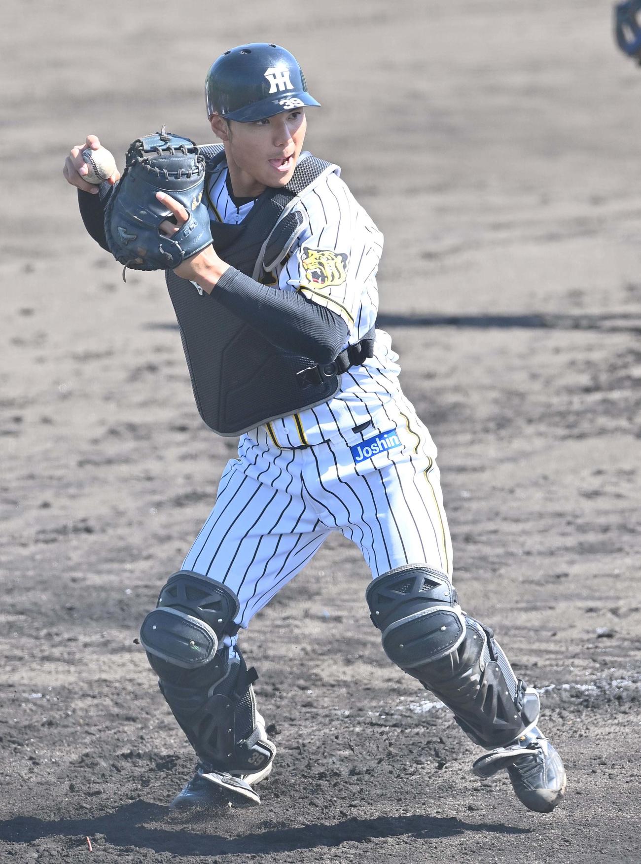 シートノックで一塁へ送球する栄枝（代表撮影）