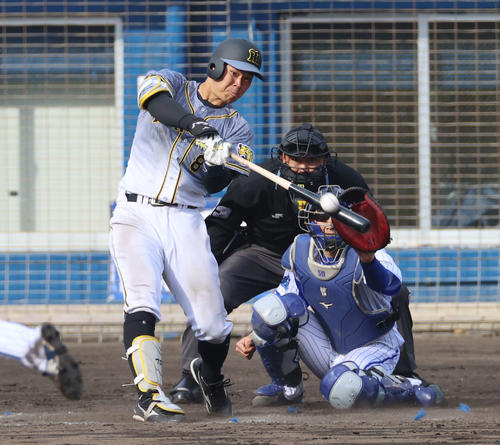 練習試合　DeNA対阪神　本塁打を放つ佐藤輝明