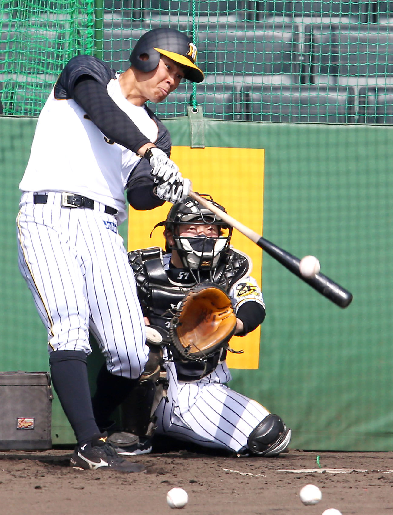 フリー打撃で汗を流す佐藤輝明（撮影・上山淳一）