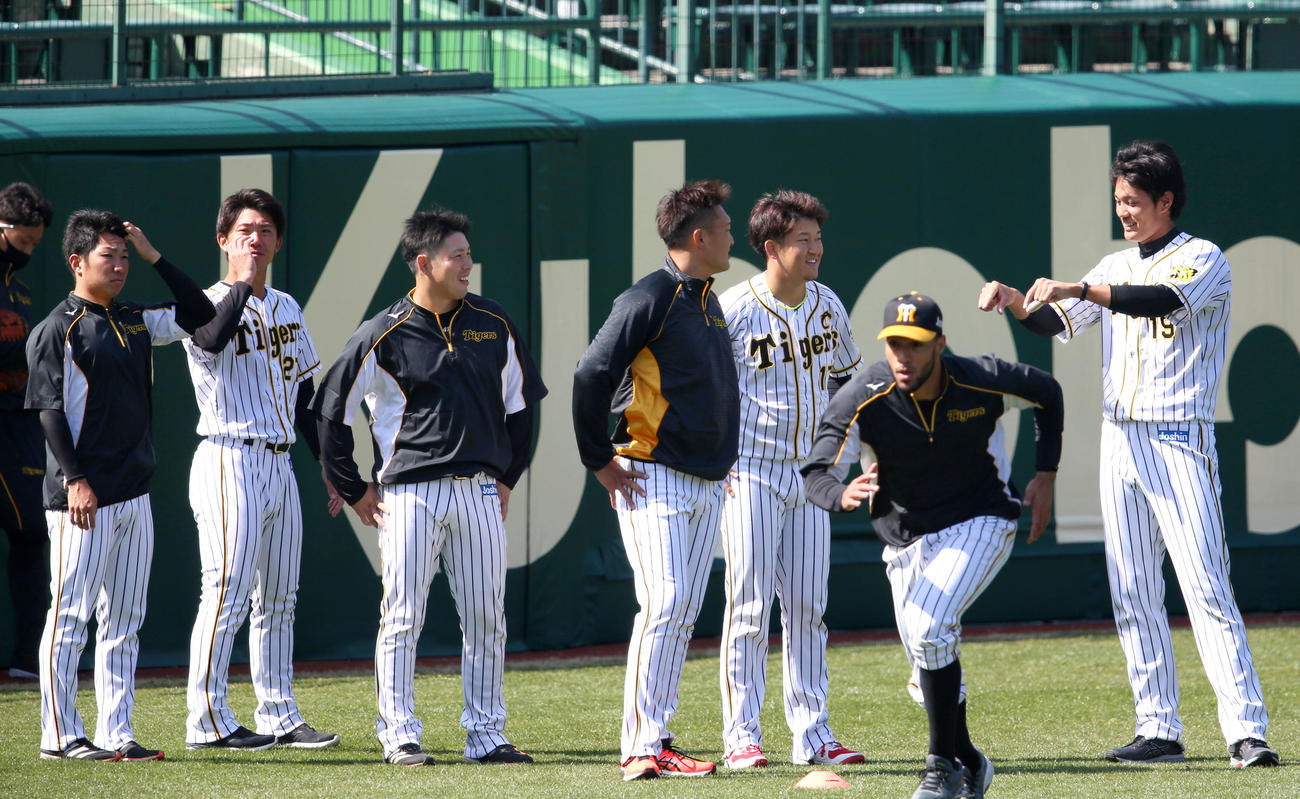 外野でリラックスしながらトレーニングする（左から）石井、伊藤将、馬場、秋山、岩貞祐太、スアレス、藤浪（撮影・上山淳一）