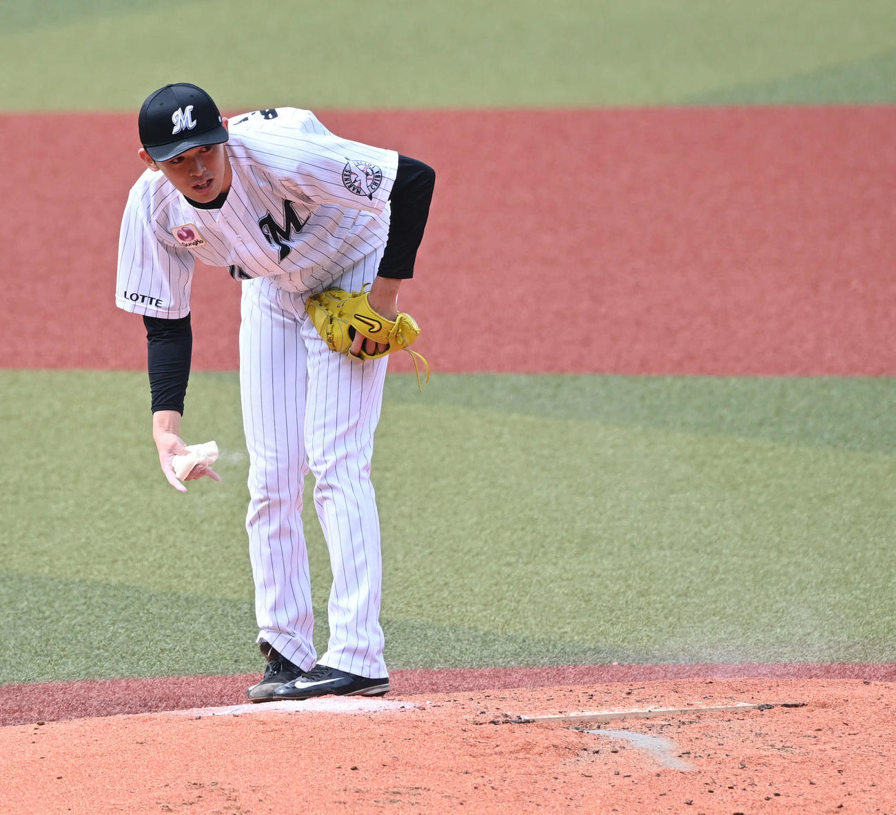 シート打撃に登板したロッテ佐々木朗はロジンをつける（撮影・山崎安昭）