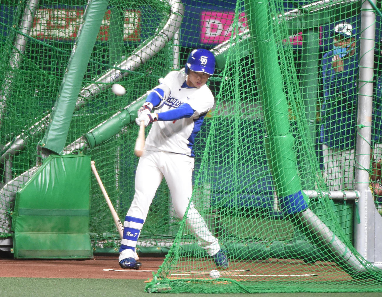打撃練習をする根尾昂（撮影・森本幸一）