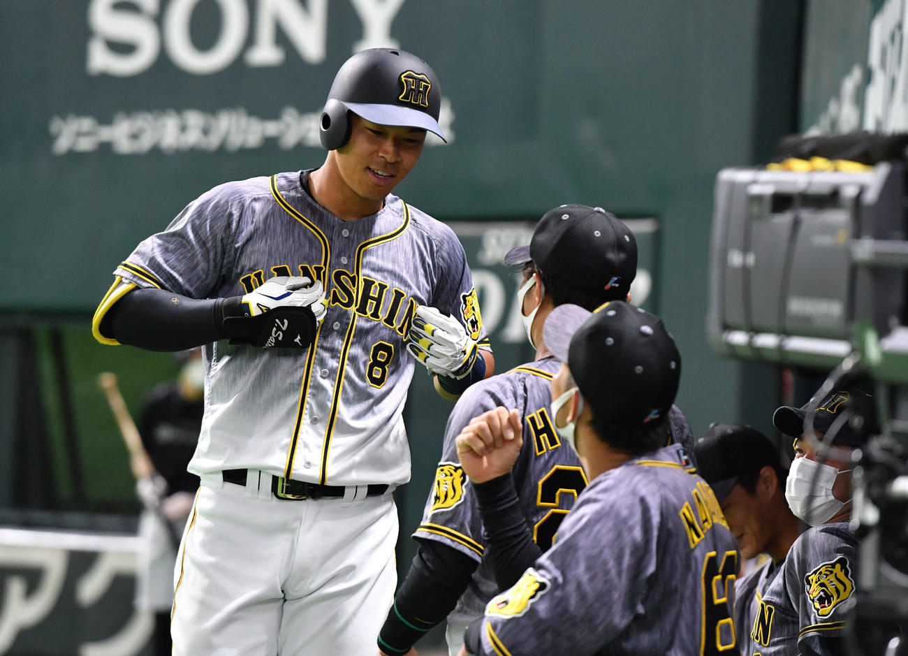 ソフトバンク対阪神　1回表阪神2死、佐藤輝は先制の左越え本塁打を放ち、ベンチ前でゴリラポーズをとる（撮影・岩下翔太）