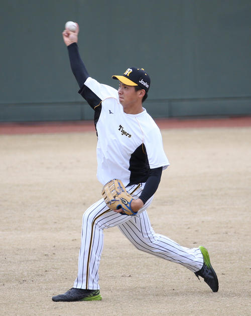 阪神井上 距離伸ばして 屋外キャッチボール再開 プロ野球写真ニュース 日刊スポーツ