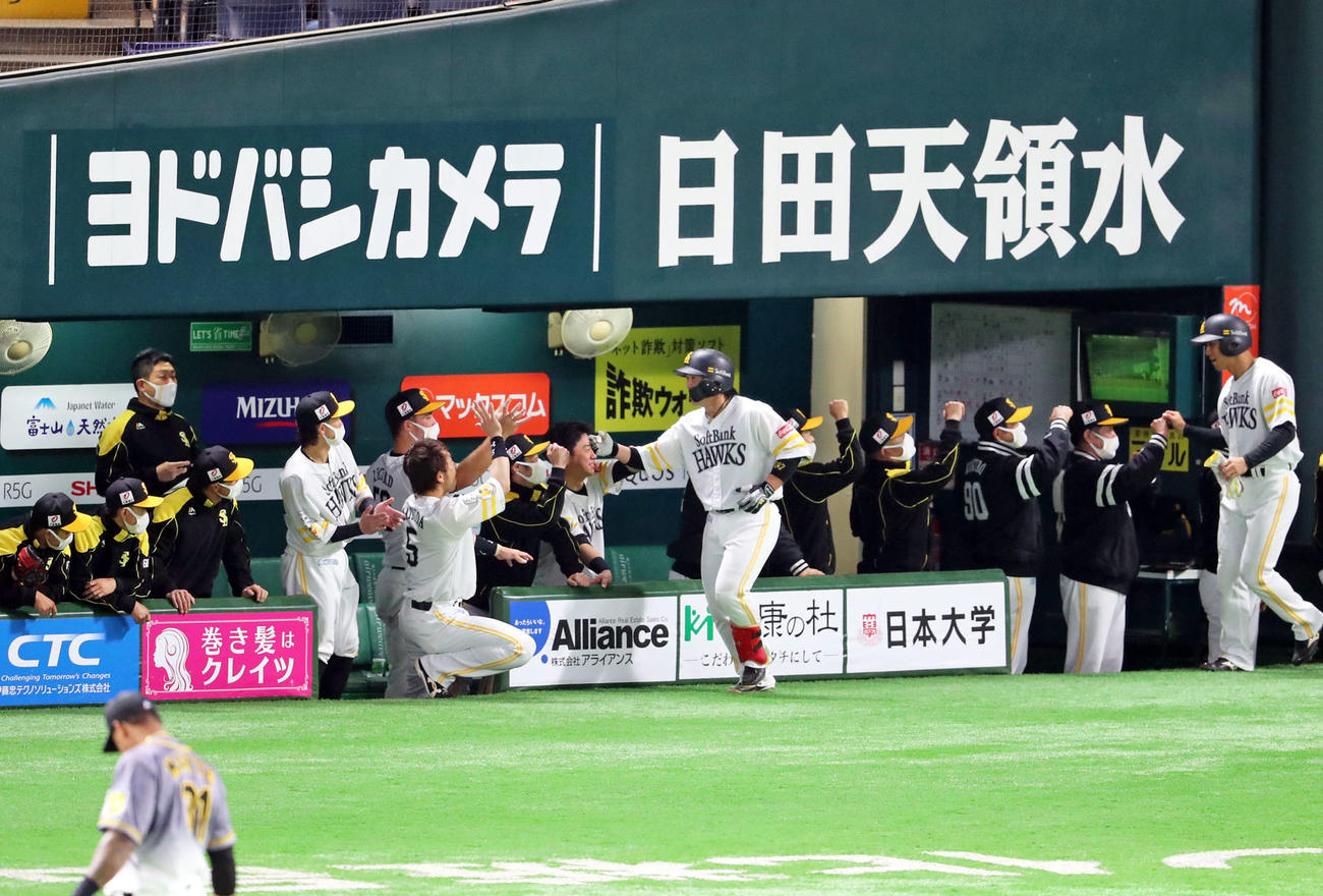ソフトバンク対阪神　2回裏ソフトバンク無死満塁、甲斐は左越えに満塁本塁打を放ちベンチのナインとハイタッチ（撮影・梅根麻紀）